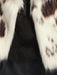35ca0257bcdfb52aaccd2d640f1ac99c-823e74ac-v3-part-Max-Origin